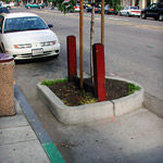 Parking Lane Planters