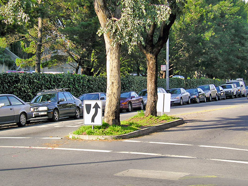 Medians And Islands SF Better Streets